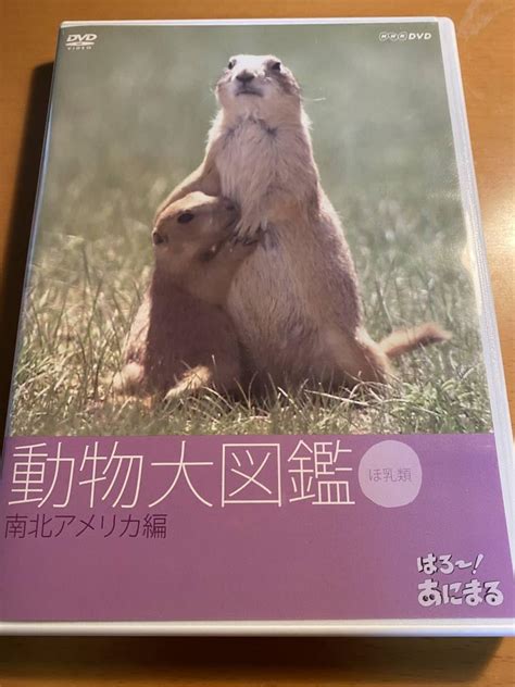 Jp はろ~あにまる 動物大図鑑 5 南北アメリカ編 Dvd I00024 ダーウィンの動物大図鑑 おもちゃ