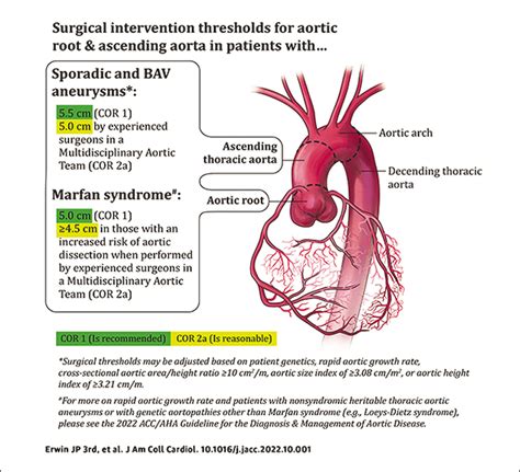 New in Clinical Documents | Diagnosis, Management of Aortic Disease ...