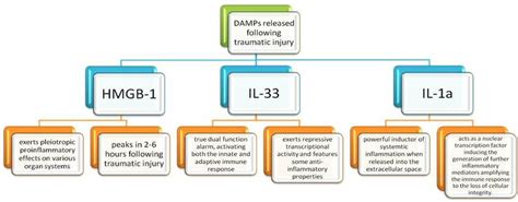 Danger signals activating the immune response following traumatic injury | Download Scientific ...