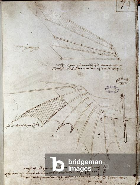 Wing Flying Machine Drawing Manuscript By Leonard De Vinci Leonardo