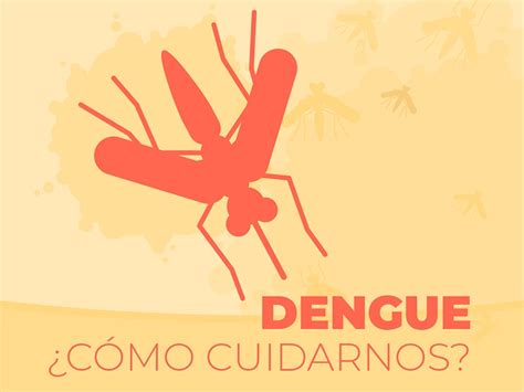 Cómo debemos cuidarnos del dengue