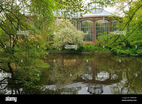 Netherlands Amsterdam Hortus Botanicus Botanical Garden Stock Photo