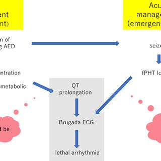 pathomechanism  lethal ecg pattern  scientific