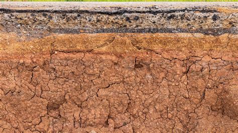 la capa superficial del suelo bajo el camino a la erosión del agua