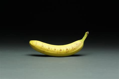 Banana For Scale Rbananasforscale