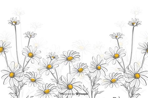 Premium Vector | Daisies decorative background watercolor style