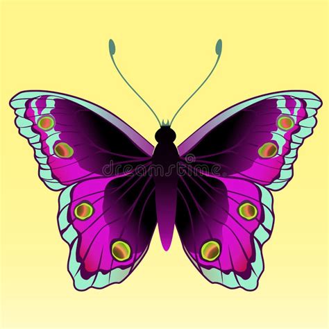 Butterfly Hand Drawing Vector Stock Vector Illustration Of Menu