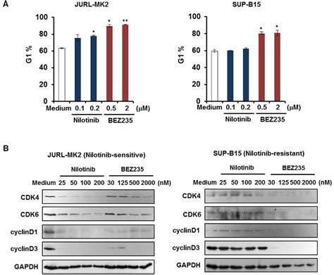 Pdf Inhibition Of Pi K Mtor Overcomes Nilotinib Resistance In Bcr