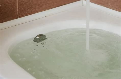 How To Use Baking Soda In Hot Tub For A Better Soak