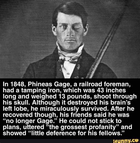 In 1848, Phineas Gage, a railroad foreman, had a tamping iron, which ...