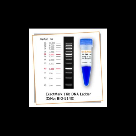 RSC EStore ExactMark 1kb DNA Ladder 250 10 000 Bp Ready To Use 250ug