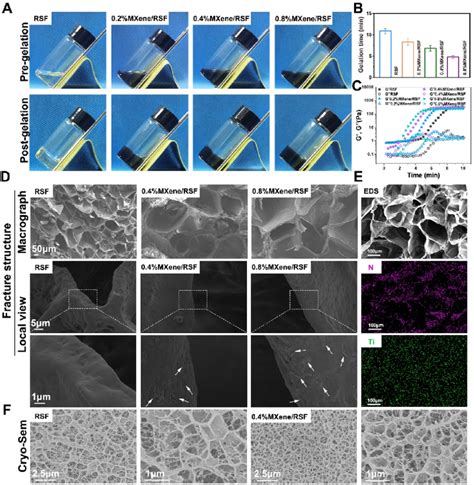 Gelation Behavior And Morphology Characterization Of The MXene RSF