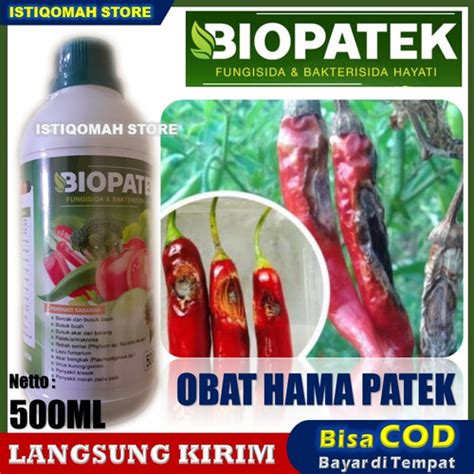 Jual Biopatek Pupuk Obat Semprot Hama Patek Bercak Busuk Daun Buah Cabe