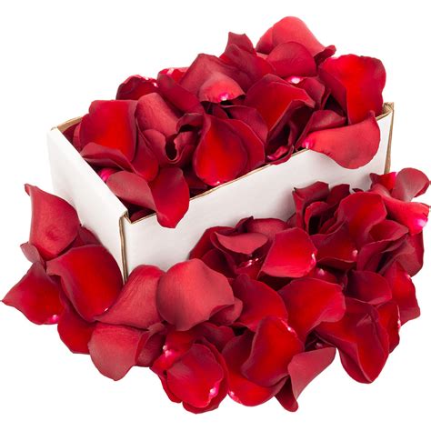 1 Box Of Red Naomi Rose Petals Uk