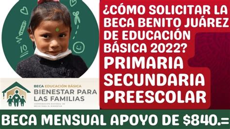 Descubre Los Requisitos Para Solicitar Una Beca De Primaria Y Garantiza