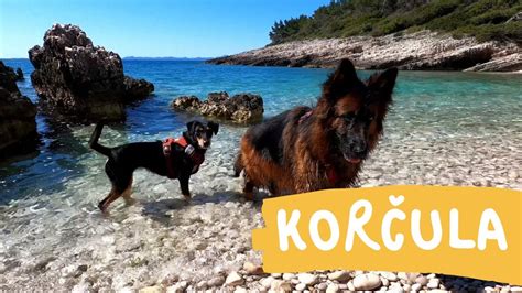 Korčula CROATIA with doggies 4K GOPRO pet friendly vacation YouTube