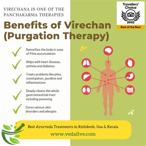 Virechana Purgation Therapy By Veda Best Ayurveda Yoga Wellness