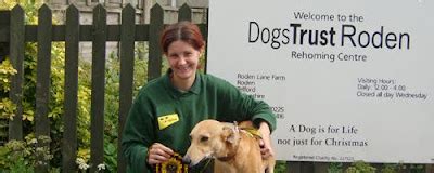 Dogs Trust: Roden gets a revamp