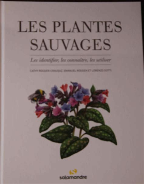 Les Plantes Sauvages Office Du Tourisme De Jalhay Sart