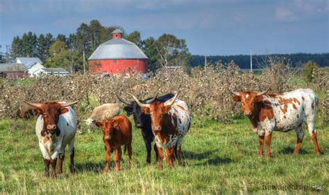 Round Barn Photo Op William Garrett Flickr