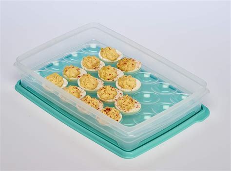 Deviled Egg Tray Carrier With Lid Container For 24 Eggs Buddeez Inc 17604 Aqua Bag Egg Holder