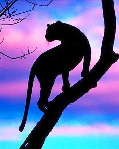 Tiger Silhouette - Animals Paint By Number - NumPaint - Paint by numbers