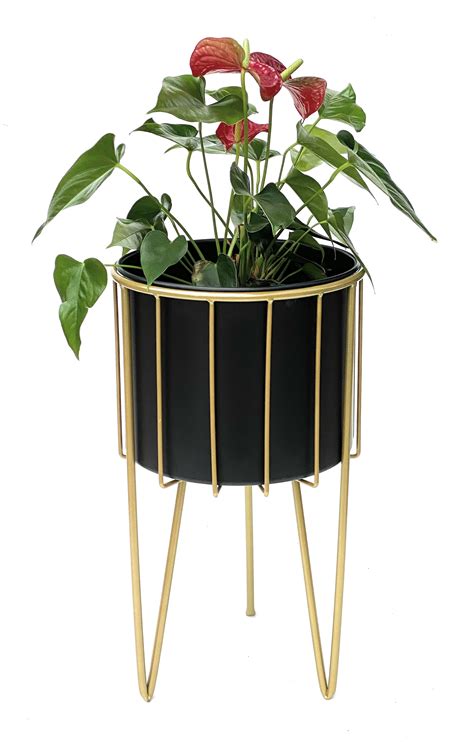 Dandibo Blumenhocker Mit Topf Metall Gold Schwarz Rund L Cm