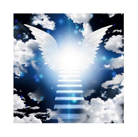 Buy DORCEV 4x4ft Heaven Angel Wing Backdrop Dor Baby Shower Photography