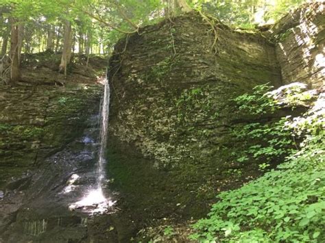 onondaga ny          tripadvisor