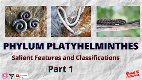 Phylum Platyhelminthes || Classification || Part 1 || B.Sc. Zoology Sem ...