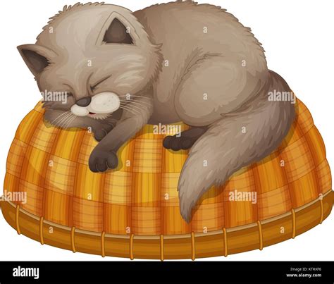 Cat Sleeping Basket Stock Vector Images Alamy