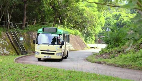 Imcdb Org Toyota Coaster Lpg Bzb In Tie Tan