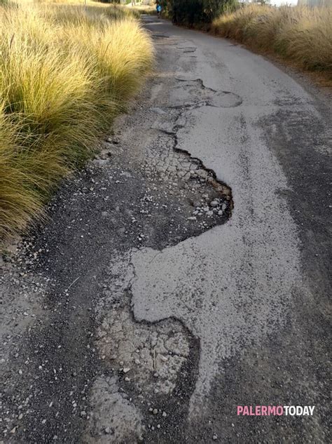 Strada Piena Di Buche A Capo Gallo Per I Podisti Il Rischio Di Farsi