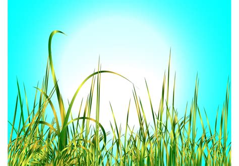 Tall Grass Vector at GetDrawings | Free download