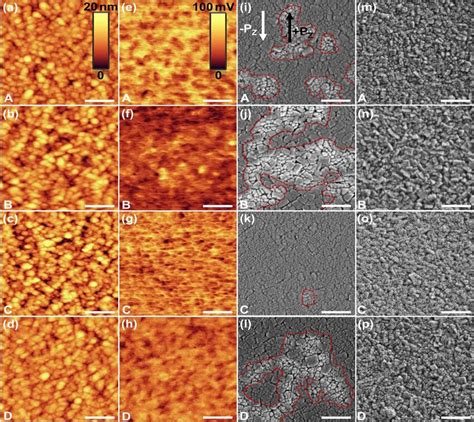 1 × 1 μm² Large Afm Ad Kpfm Eh Sem With With An In Lens