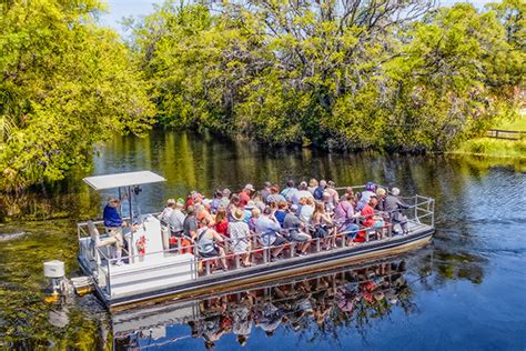 Homepage | Homosassa Springs Wildlife Adventures