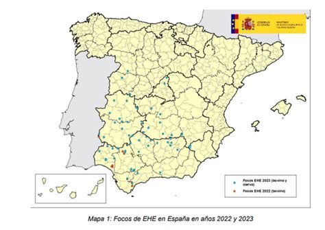 El Mapa Actualiza Los Casos De Enfermedad Hemorr Gica Epizo Tica Ehe