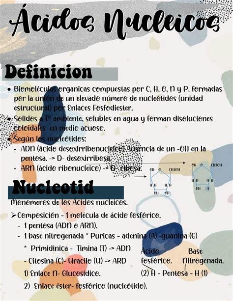 Solution Tema Acidos Nucleicos Studypool