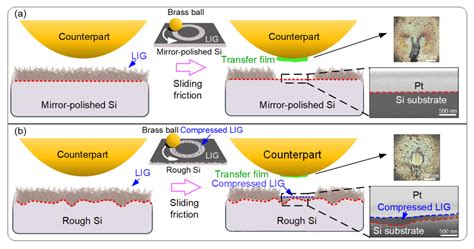 Lubricants Free Full Text Effect Of Substrate Roughness On The Friction And Wear Behaviors