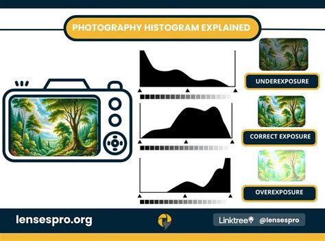 Histograms In Photography 101: A Practical Guide (2024)