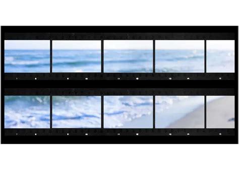 Ways To Make A Contact Sheet In Photography