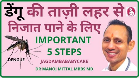 डेंगू की ताज़ी लहर से निजात पाने के लिए Important 5 Steps Youtube