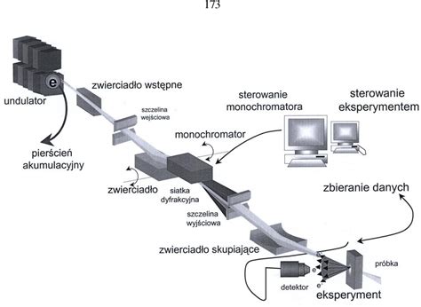 Figure 1 from Promieniowanie synchrotronowe jako uniwersalne narzędzie