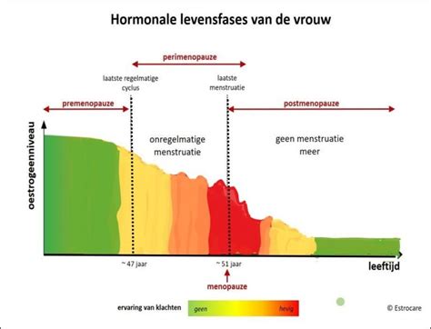 Wat Is De Overgang En Welke Fases Zijn Er EstroCare