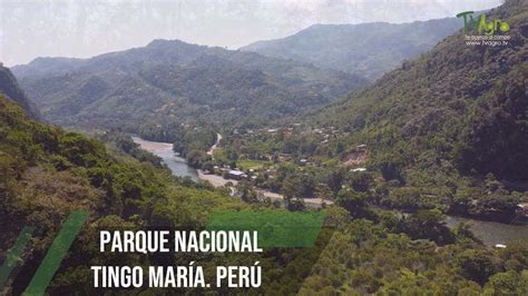 Parque Nacional Tingo María Perú TvAgro por Juan Gonzalo Angel