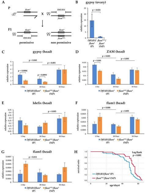 Analysis of the expression of the selected retrotransposons and of ...