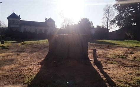 Parc de Rancé nous avons besoin de vous Genay De peur je nay