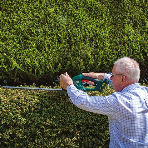 Webb Cordless Hedge Trimmer Expert Verdict