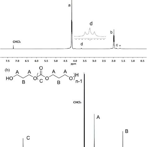 1 H Nmr A And 13 C Nmr B Spectra Of The Obtained Ptmc M 0 I 0 Download Scientific