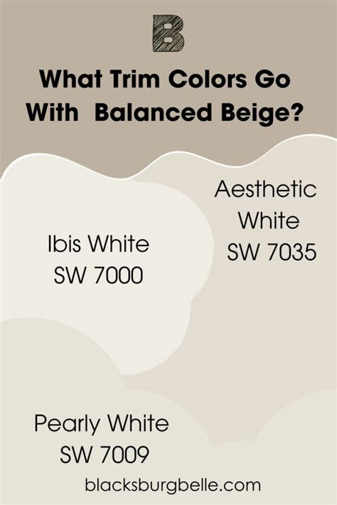 Sherwin Williams Balanced Beige Sw 7037 Paint Color Review